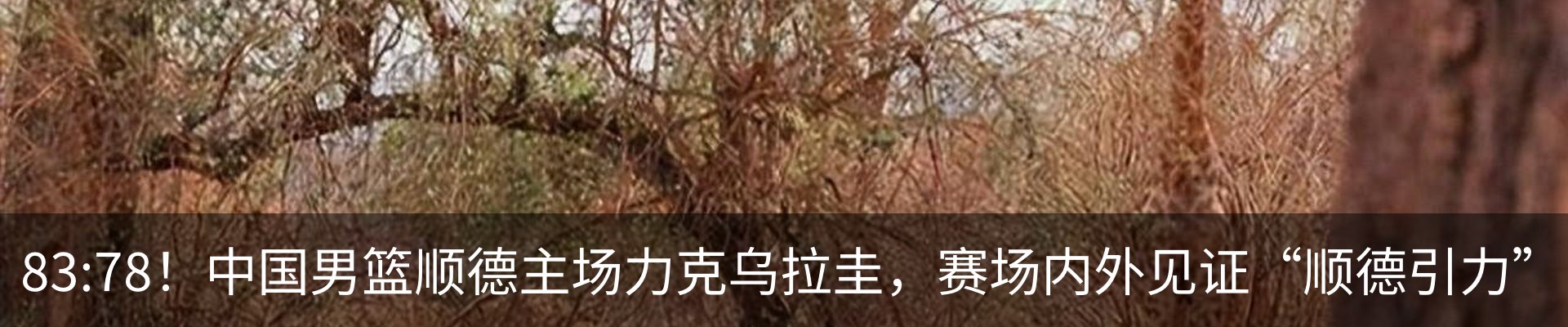 新闻中心