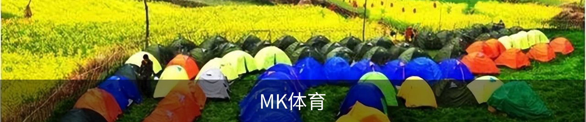 MK体育